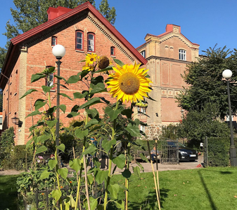 Screenshot from 2025-10-29 09-59-45