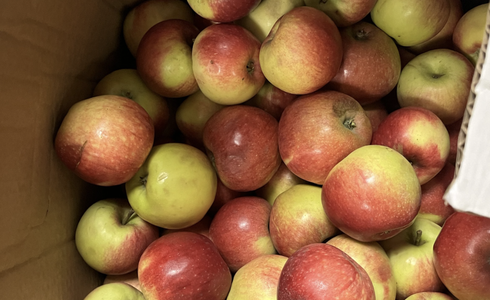 Folkets skafferi äpplen