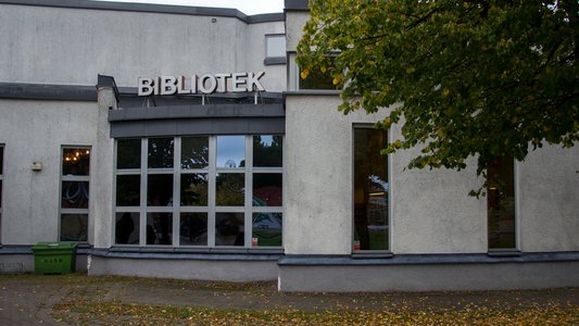 bomhus-bibliotekwpe-web.jpg