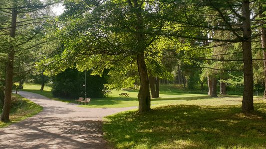 park-boulognerskogen-web.jpg