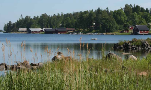 skarmbild-2024-07-04-101733.png