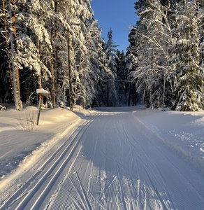 skidstavallen-1.jpg