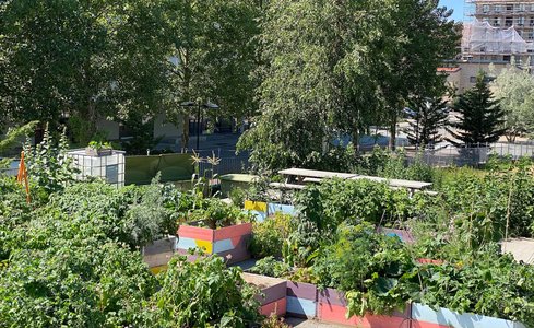 Stapelbäddens trädgård